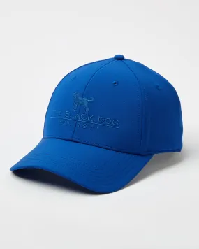 Adult Ultimate Performance Hat