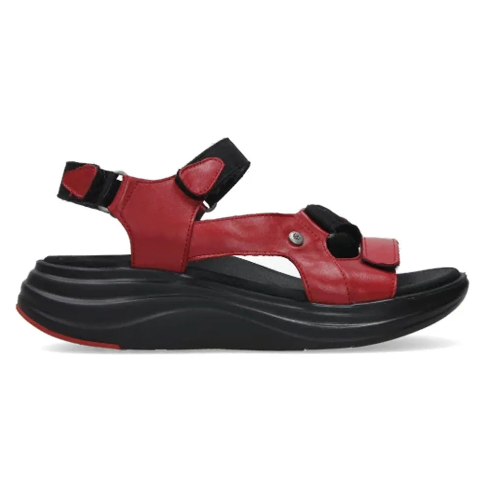 Cirro Sporty Sandal