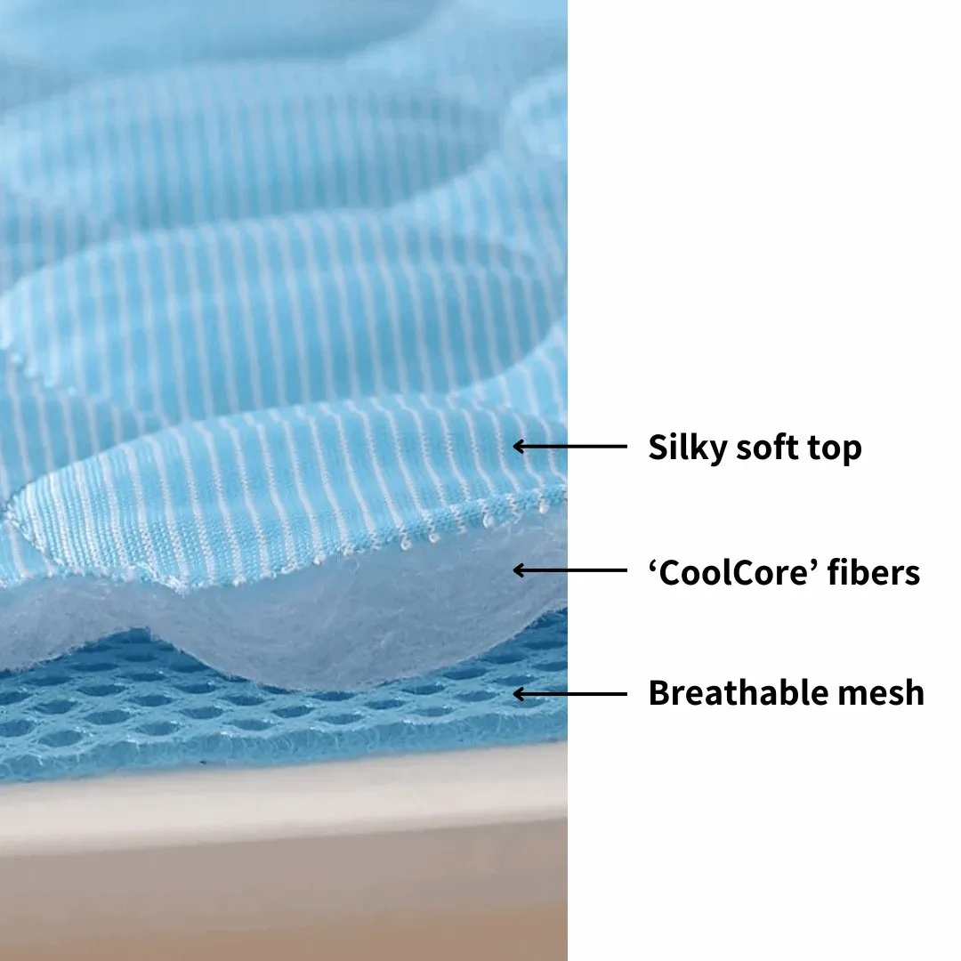 Ice Silk Cooling Mat