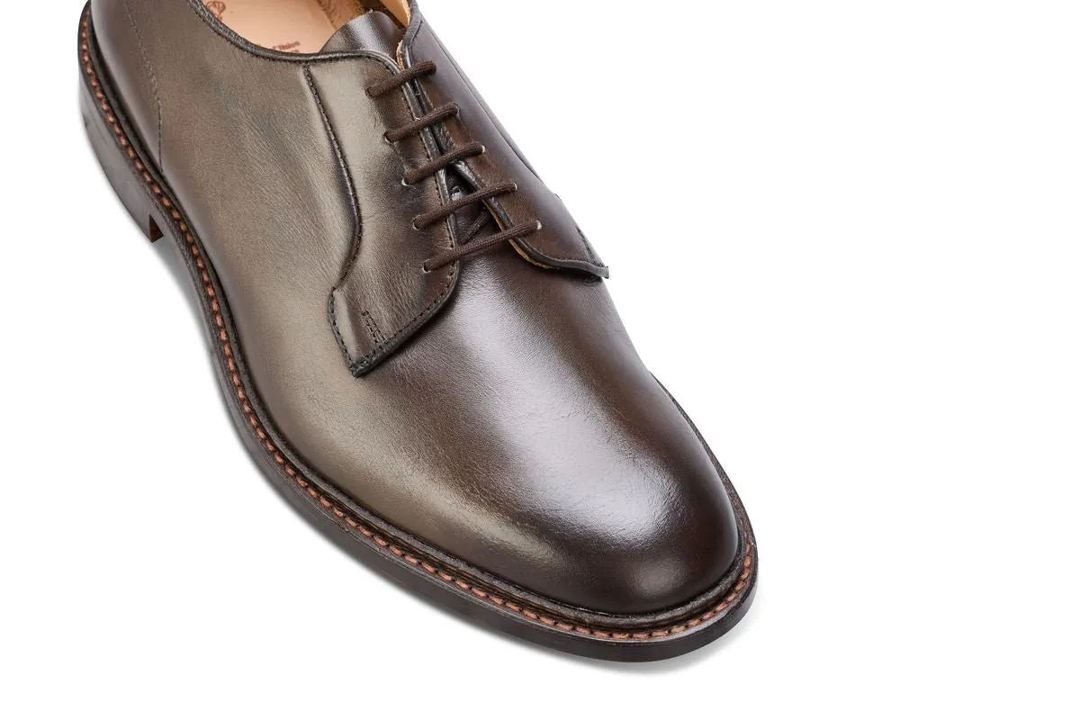 Robert Derby Shoe - Espresso Burnished