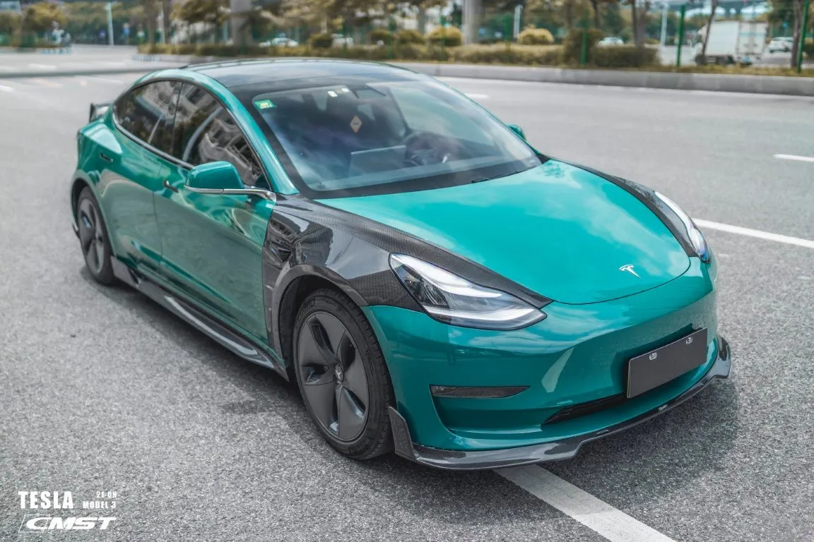 TESERY Tesla Model 3 Carbon Fiber Side Skirts Ver.4